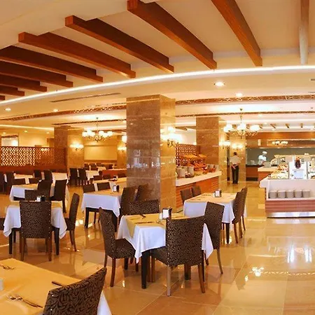 リゾート Diamond & シダ